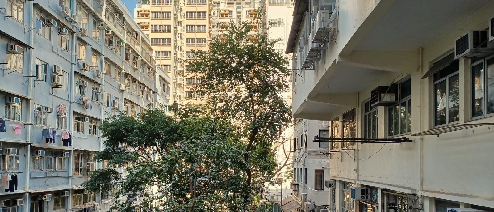 Laundry drying on tong lau balconies in a Sheung Wan side street, Hong Kong Island.