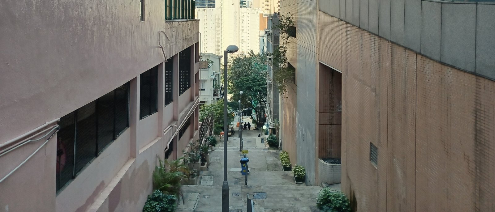 Looking down the steps of Shing Wong Street in Sheung Wan, planters and a lamppost along the lane, with towers visible in the gap beyond.